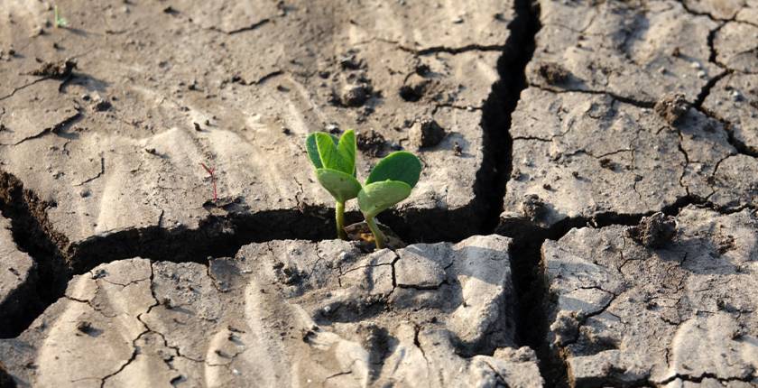 Da ostacolo a opportunità: il potenziale che non sapevi di avere